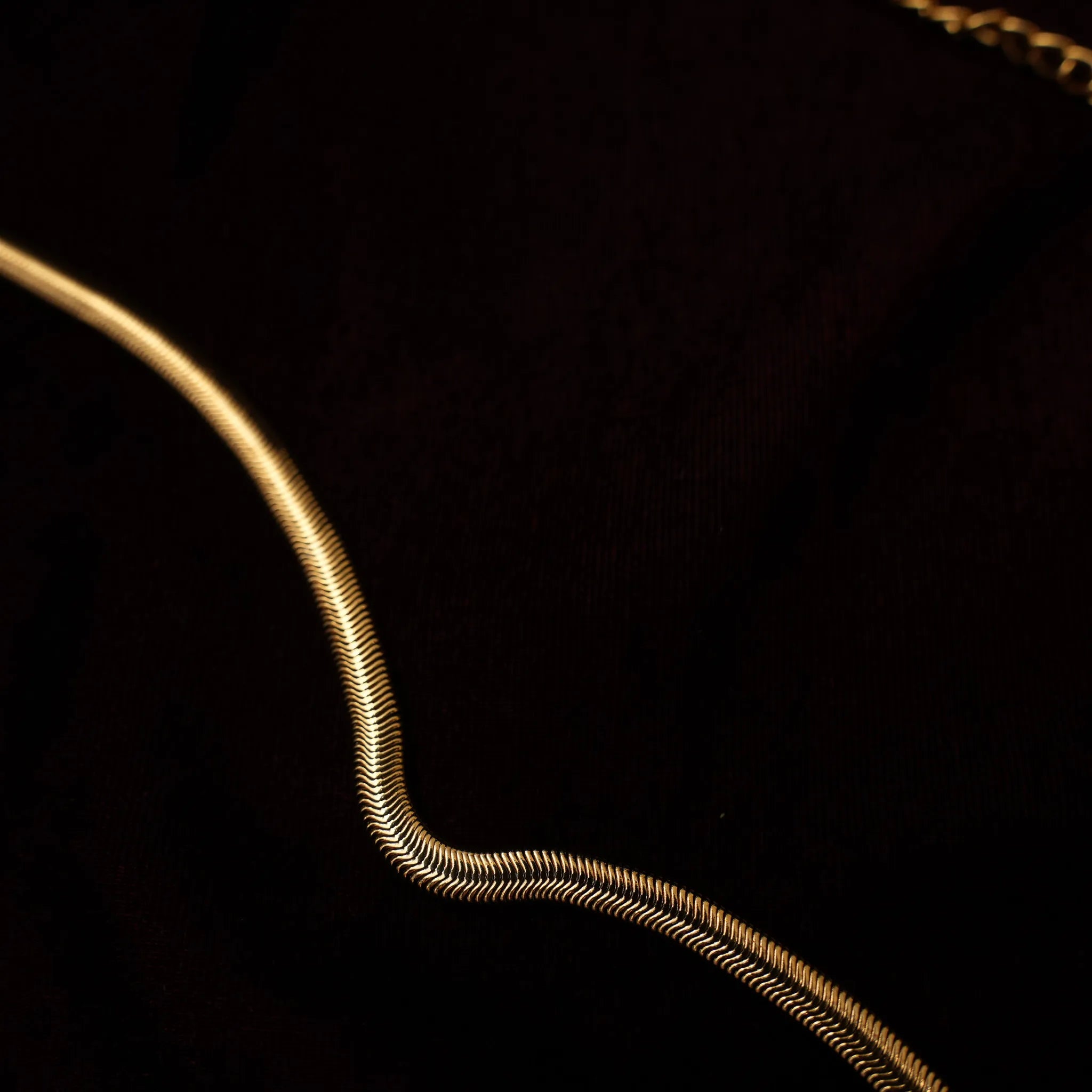 Laksha Antique Hip Belt