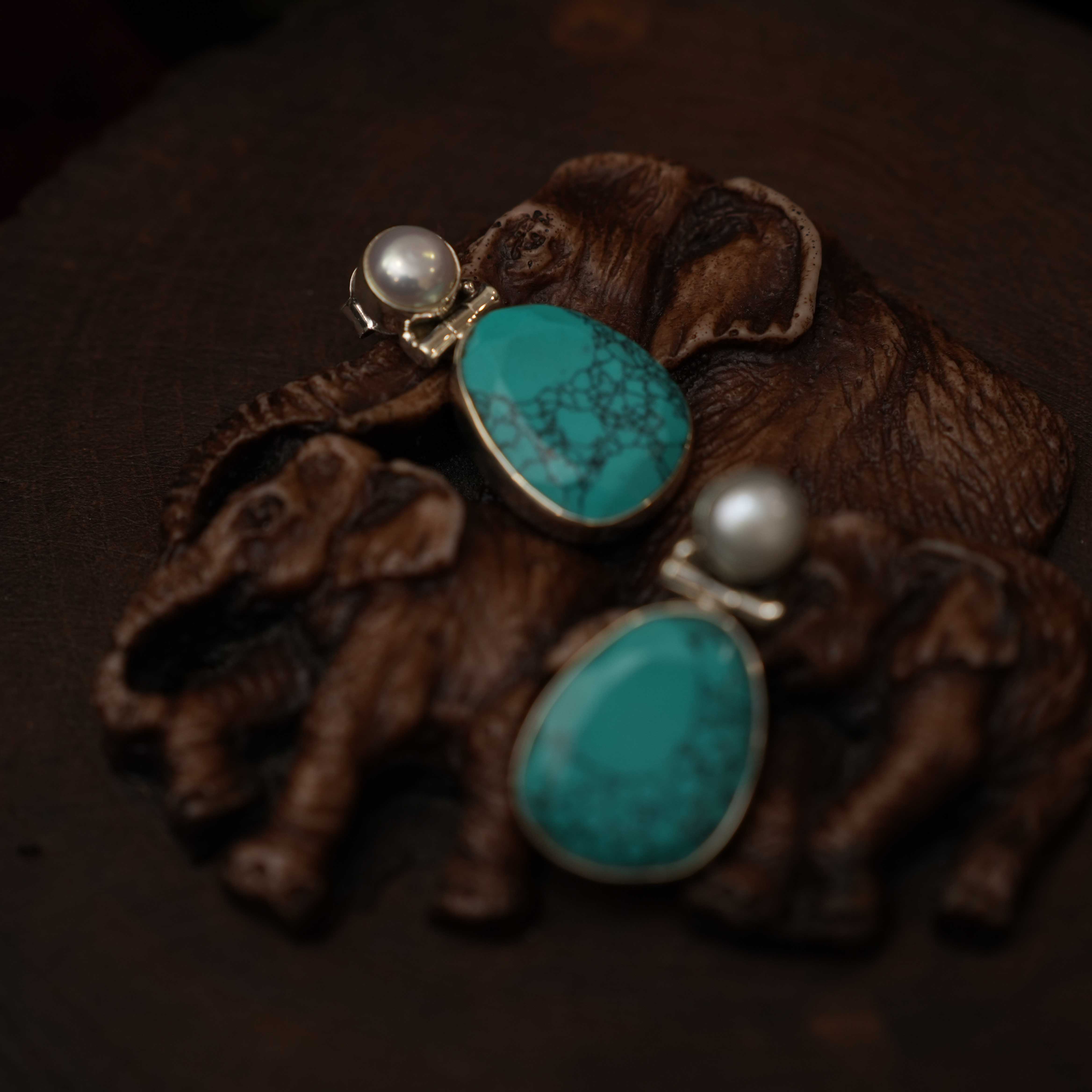Rushmitha 925 Oxidized Silver Earrings - Turquoise